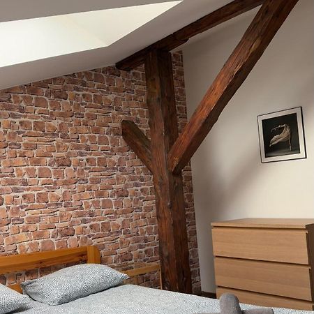 Apartament Szafir 4A 제수프 외부 사진